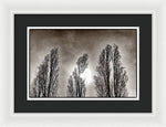 Load image into Gallery viewer, A Trio of Trees  - Framed Print
