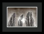 Load image into Gallery viewer, A Trio of Trees  - Framed Print
