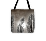 Load image into Gallery viewer, A Trio of Trees  - Tote Bag

