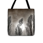 Load image into Gallery viewer, A Trio of Trees  - Tote Bag
