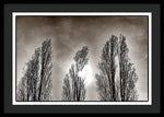 Load image into Gallery viewer, A Trio of Trees  - Framed Print
