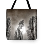 Load image into Gallery viewer, A Trio of Trees  - Tote Bag
