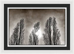 Load image into Gallery viewer, A Trio of Trees  - Framed Print
