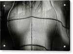 Load image into Gallery viewer, Architectures Mind Games - Acrylic Print
