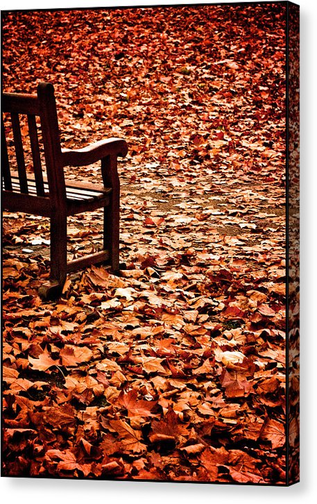 Autumnal Colours - Canvas Print