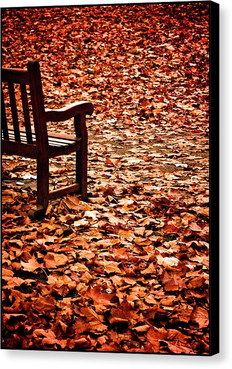 Autumnal Colours - Canvas Print