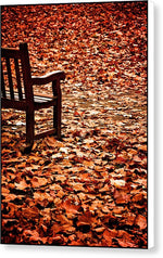 Load image into Gallery viewer, Autumnal Colours - Canvas Print
