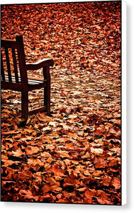 Autumnal Colours - Canvas Print