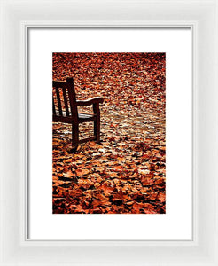 Autumnal Colours - Framed Print