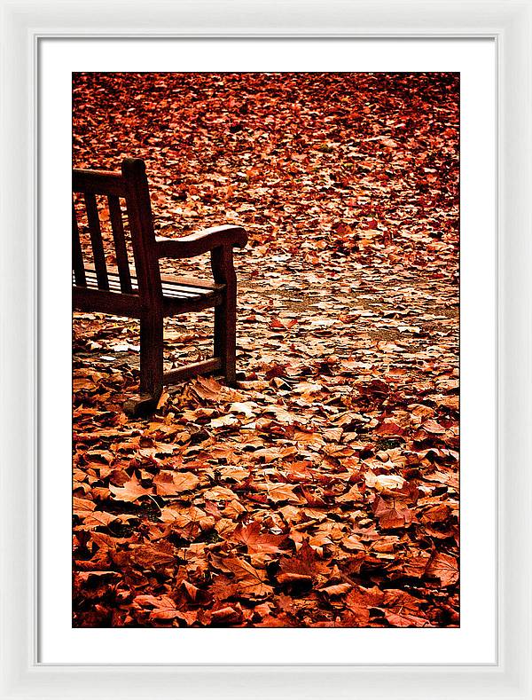 Autumnal Colours - Framed Print