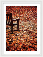 Load image into Gallery viewer, Autumnal Colours - Framed Print
