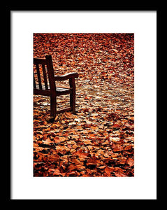 Autumnal Colours - Framed Print