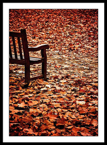 Autumnal Colours - Framed Print