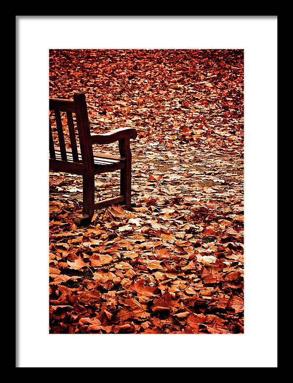 Autumnal Colours - Framed Print