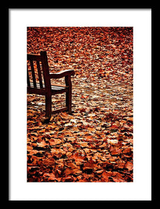 Autumnal Colours - Framed Print