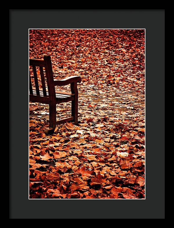 Autumnal Colours - Framed Print