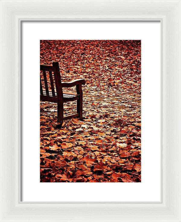 Autumnal Colours - Framed Print