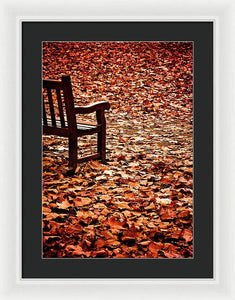 Autumnal Colours - Framed Print