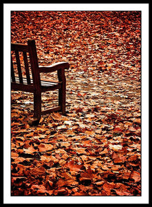 Autumnal Colours - Framed Print