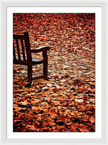 Autumnal Colours - Framed Print