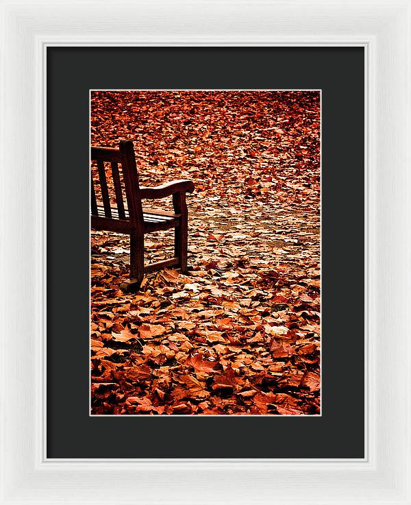 Autumnal Colours - Framed Print