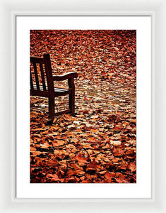 Autumnal Colours - Framed Print