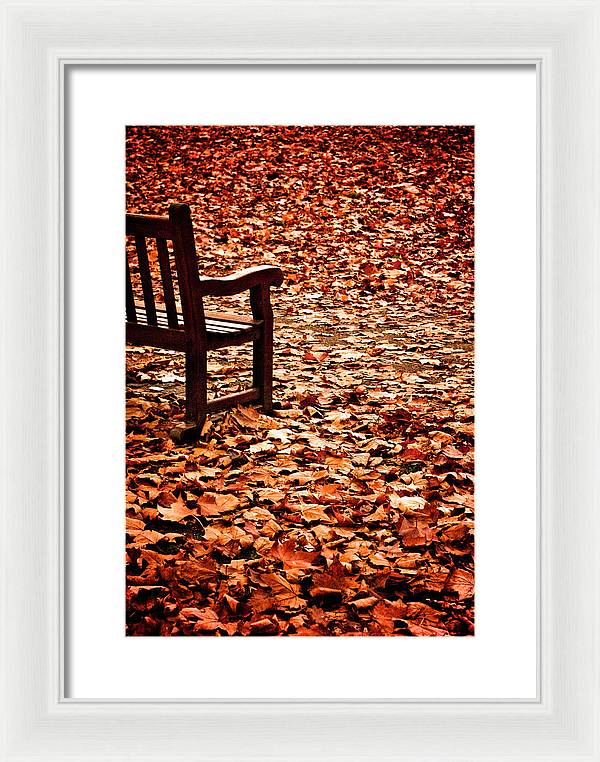 Autumnal Colours - Framed Print