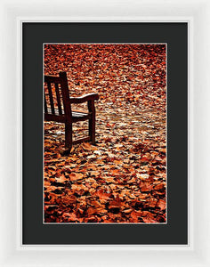 Autumnal Colours - Framed Print