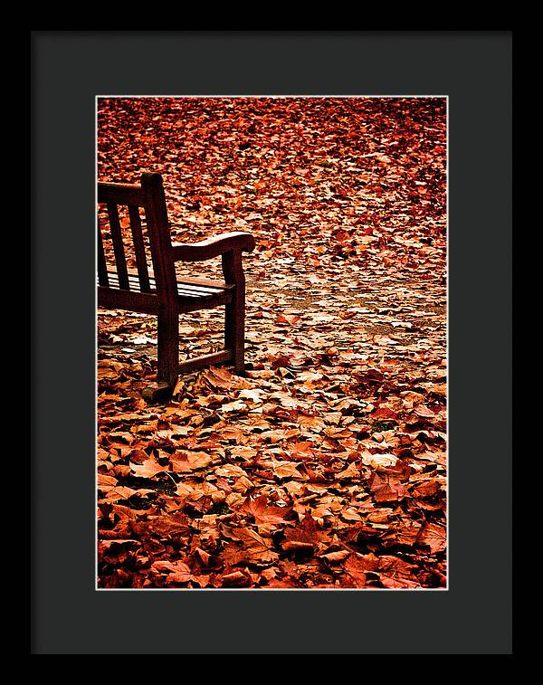 Autumnal Colours - Framed Print