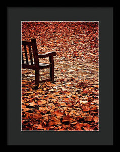 Autumnal Colours - Framed Print