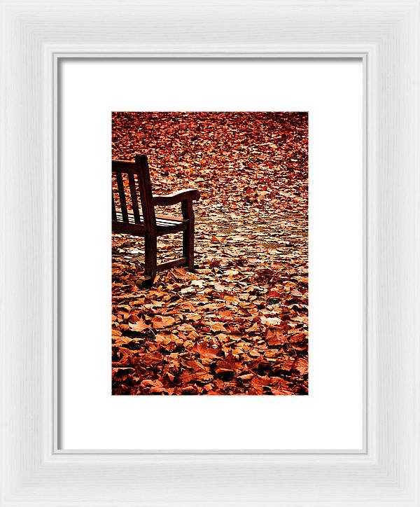 Autumnal Colours - Framed Print