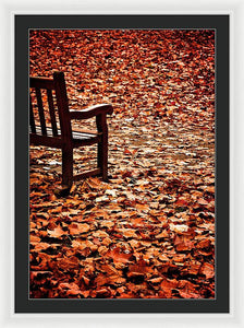 Autumnal Colours - Framed Print