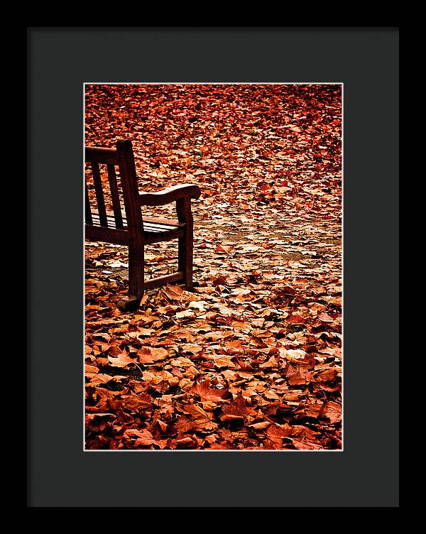 Autumnal Colours - Framed Print