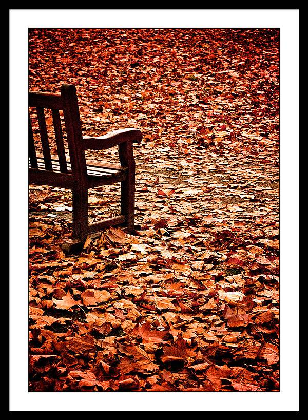 Autumnal Colours - Framed Print