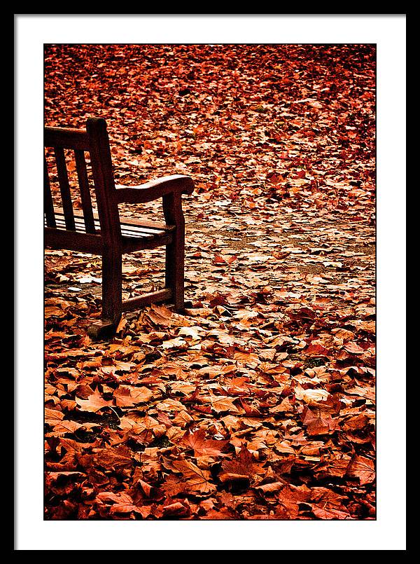 Autumnal Colours - Framed Print