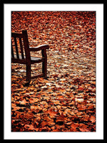 Load image into Gallery viewer, Autumnal Colours - Framed Print
