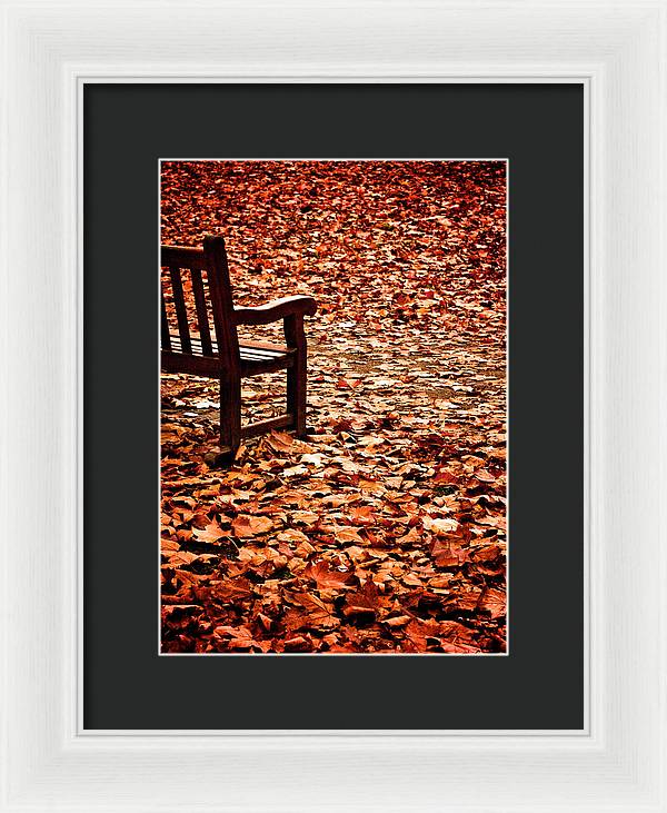 Autumnal Colours - Framed Print