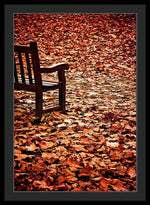 Load image into Gallery viewer, Autumnal Colours - Framed Print
