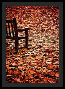 Autumnal Colours - Framed Print