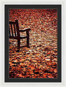 Autumnal Colours - Framed Print