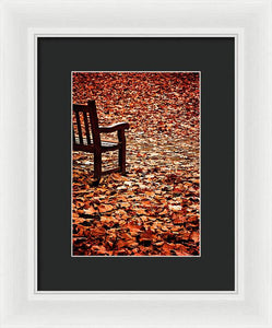 Autumnal Colours - Framed Print