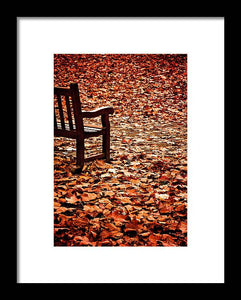 Autumnal Colours - Framed Print