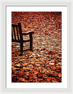 Autumnal Colours - Framed Print