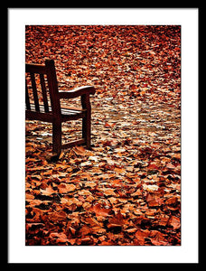 Autumnal Colours - Framed Print