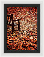 Load image into Gallery viewer, Autumnal Colours - Framed Print
