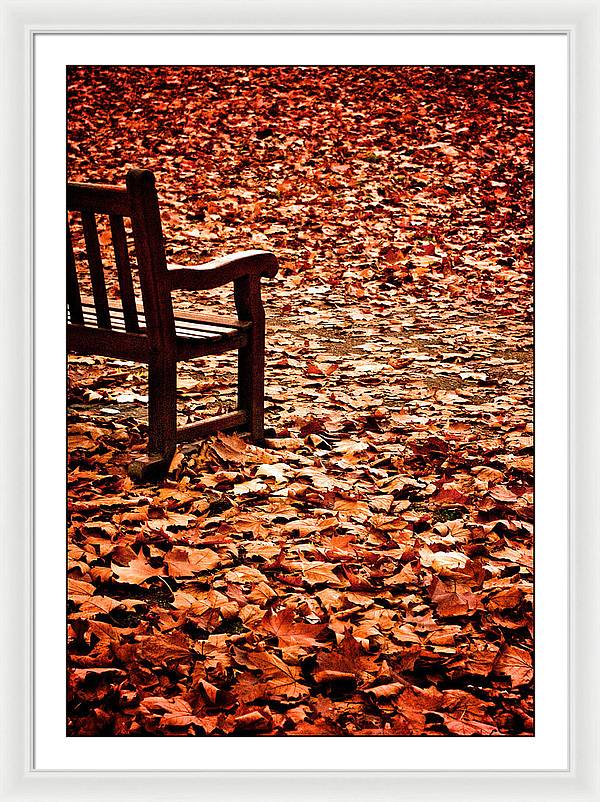 Autumnal Colours - Framed Print