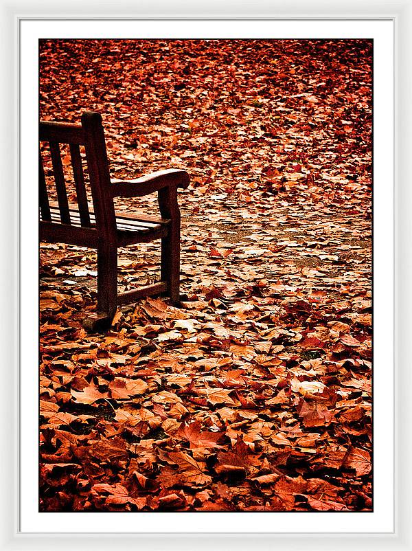 Autumnal Colours - Framed Print