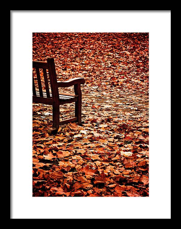 Autumnal Colours - Framed Print