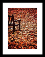 Load image into Gallery viewer, Autumnal Colours - Framed Print
