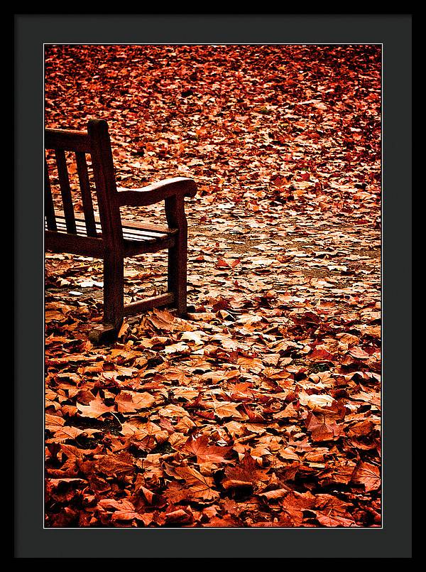 Autumnal Colours - Framed Print